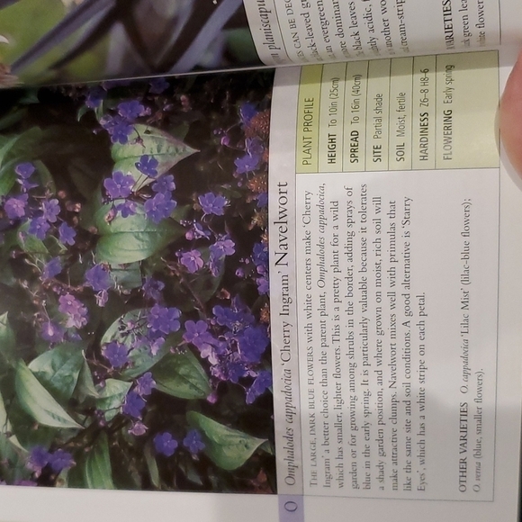 DK Garden guide Perennials 2003 paperback by Richard Rosenfeld 320 pages - Picture 6 of 8